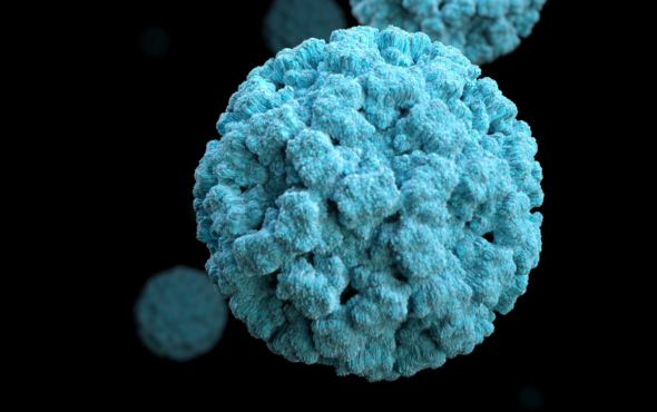 Norovirus