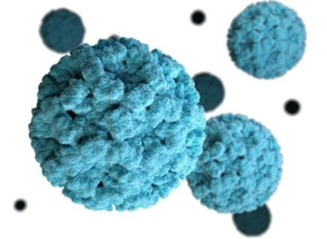 Norovirus 2